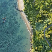 Vietnam (11)