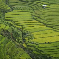 Vietnam (12)