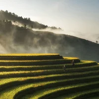 Vietnam (7)