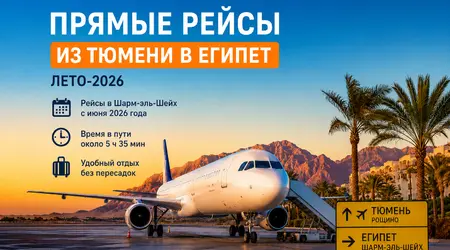 Прямые рейсы из Тюмени в Египет появились в расписании Рощино на лето-2026